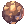 °³´Ù·¡ ÃÊÄÚº¼