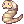 Fleshy Larva