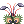 ½ÄÃæ½Ä¹°ÀÇ Çì¾îÇÉ