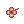 Trevo Rosa