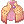 Sobrepeliz Aprimorado