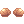 Coque Áureo