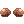 Coque Castanho