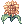 Girassol Brilhante