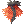 Fire Dragon Coat