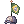 Chapéu de Beeira Brasileira