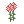 Persica