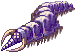 Verme Ancião