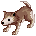 Filhote de Lobo